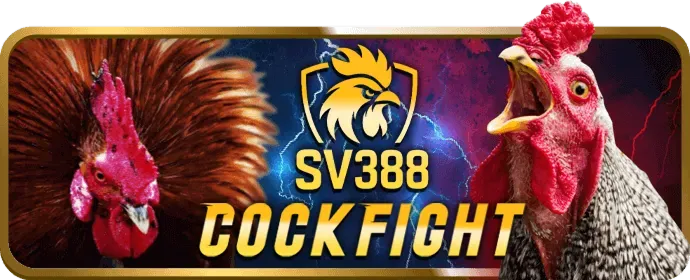 Hướng dẫn cá cược hello88vina
